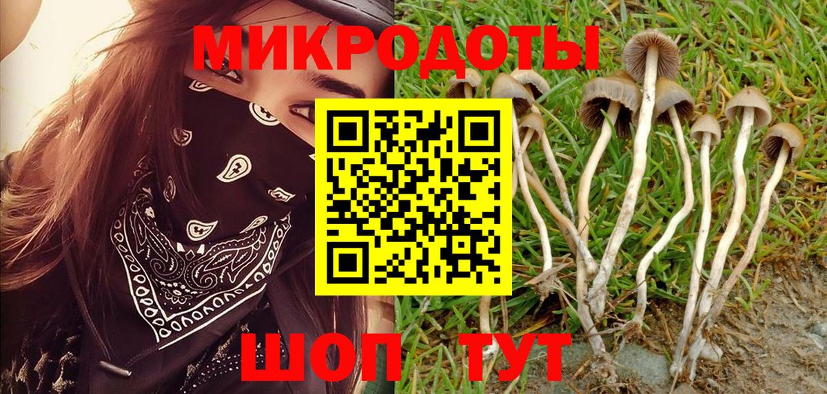 Галлюциногенные грибы прущие грибы  Псилоцибиновые грибы GOLDEN TEACHER  Павлово  Вход с VPN 